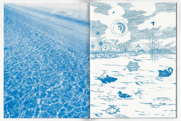 Alicia Nauta - The Pattern