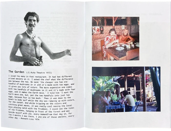 Blue Meanies zine