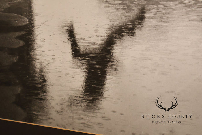 Framed Photography Print, 'Leap of Faith'