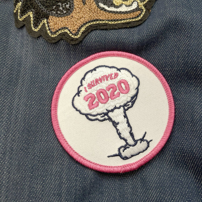I SURVIVED 2020 PATCH