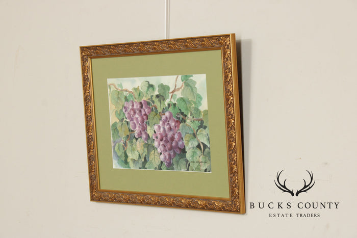 Libby Anderson Watercolor, Still Life of Grapevine