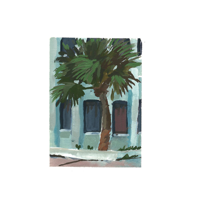 Little Palm on 78