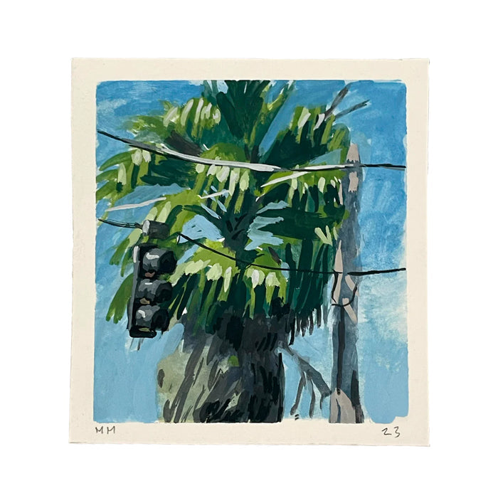 Little River Palm