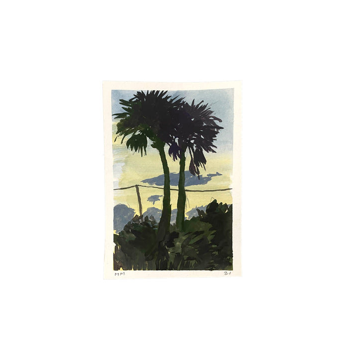 North Beach Palm Rise 2