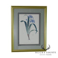 Redouté "iris Fimbriata Iris Frangée" Art Print on Paper Framed