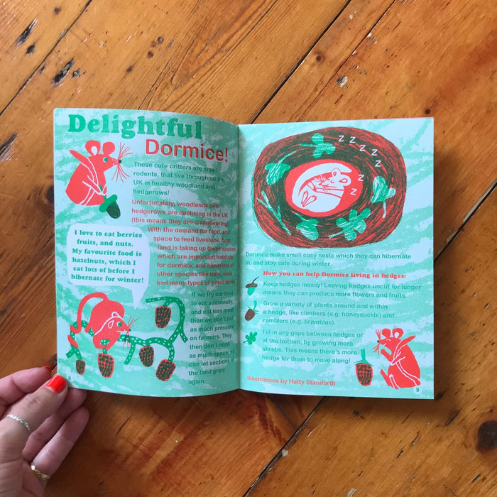 SEED MAGAZEEN - ISSUE #6