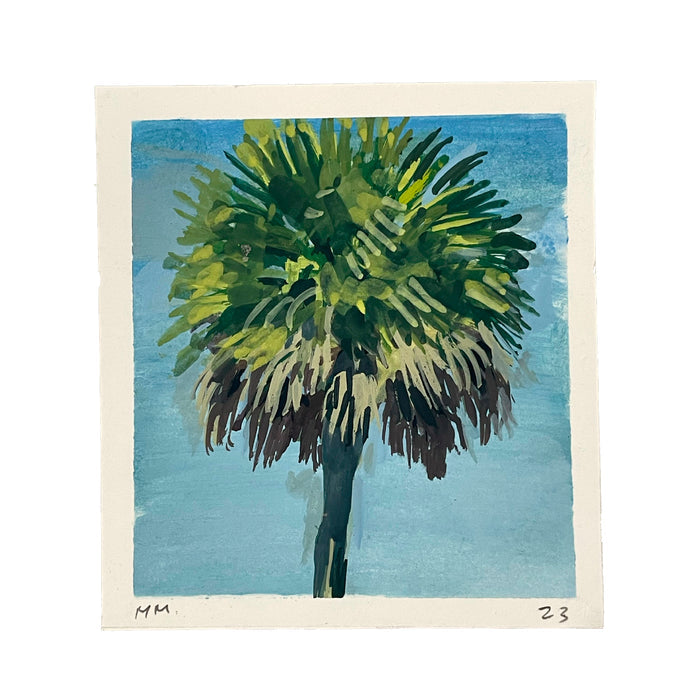 Studio Palm