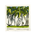 Studio Palms