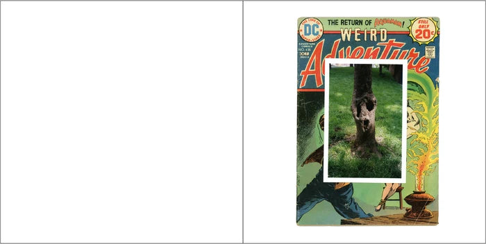 Tim Soter - Fumetti